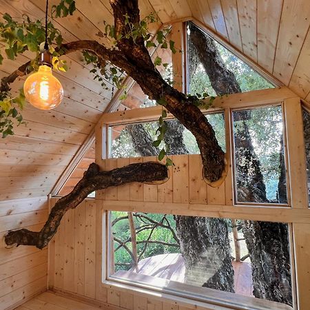 Agriturismo Pereti 罗卡蒂德里 外观 照片