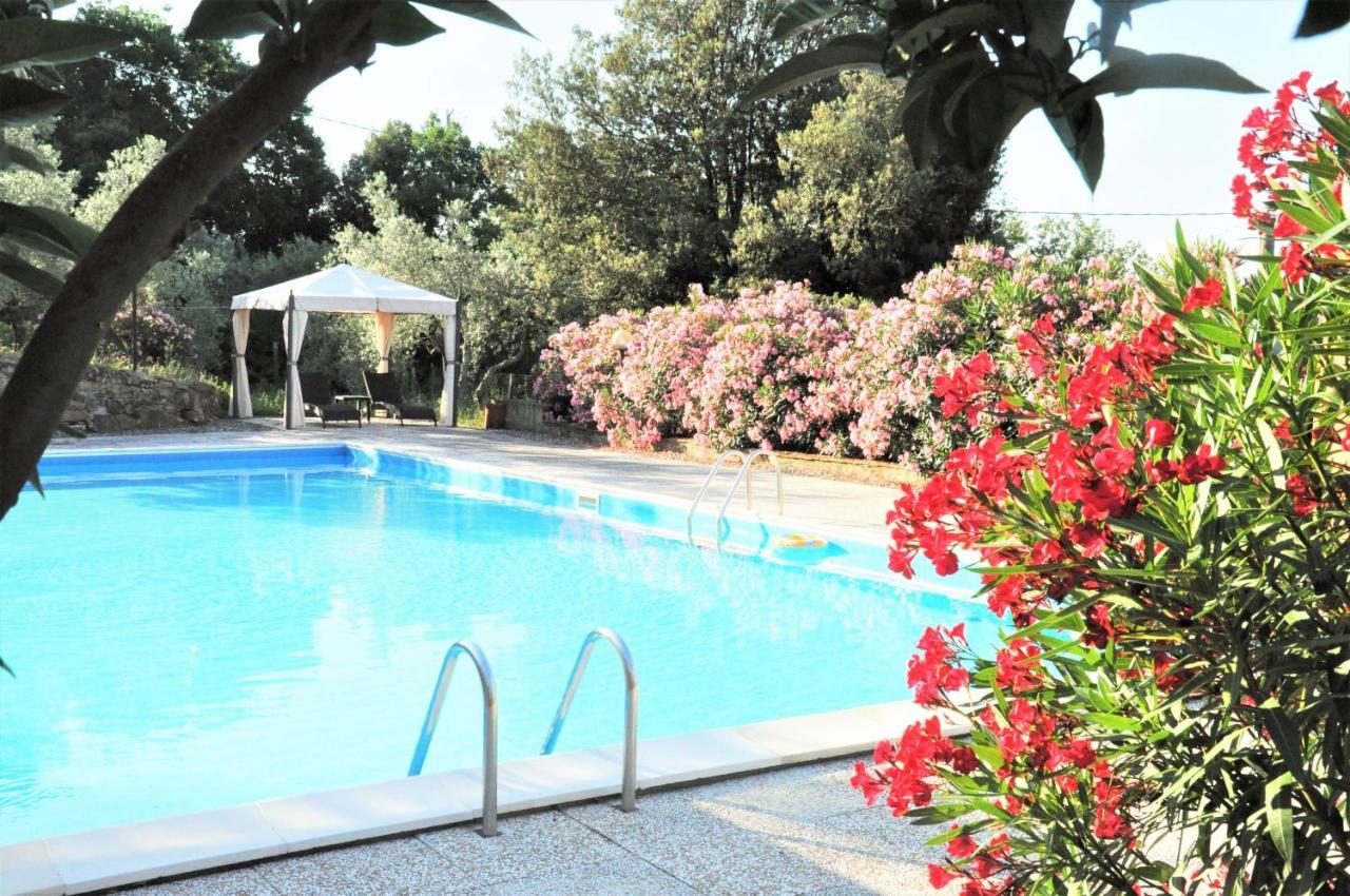 Agriturismo Pereti 罗卡蒂德里 外观 照片