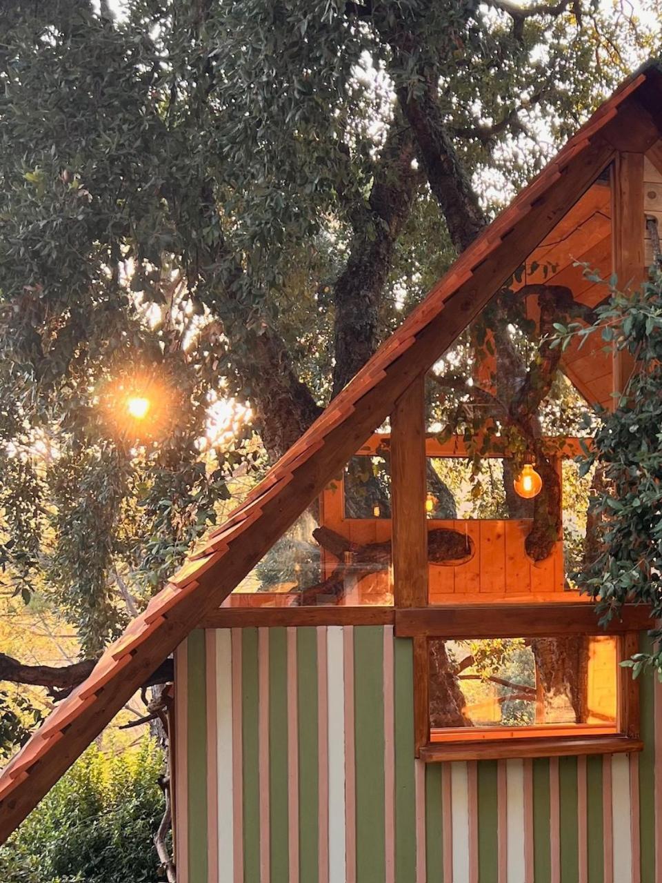 Agriturismo Pereti 罗卡蒂德里 外观 照片