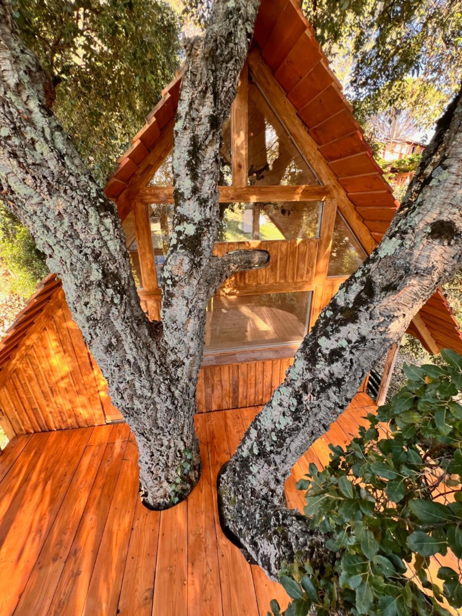 Agriturismo Pereti 罗卡蒂德里 外观 照片