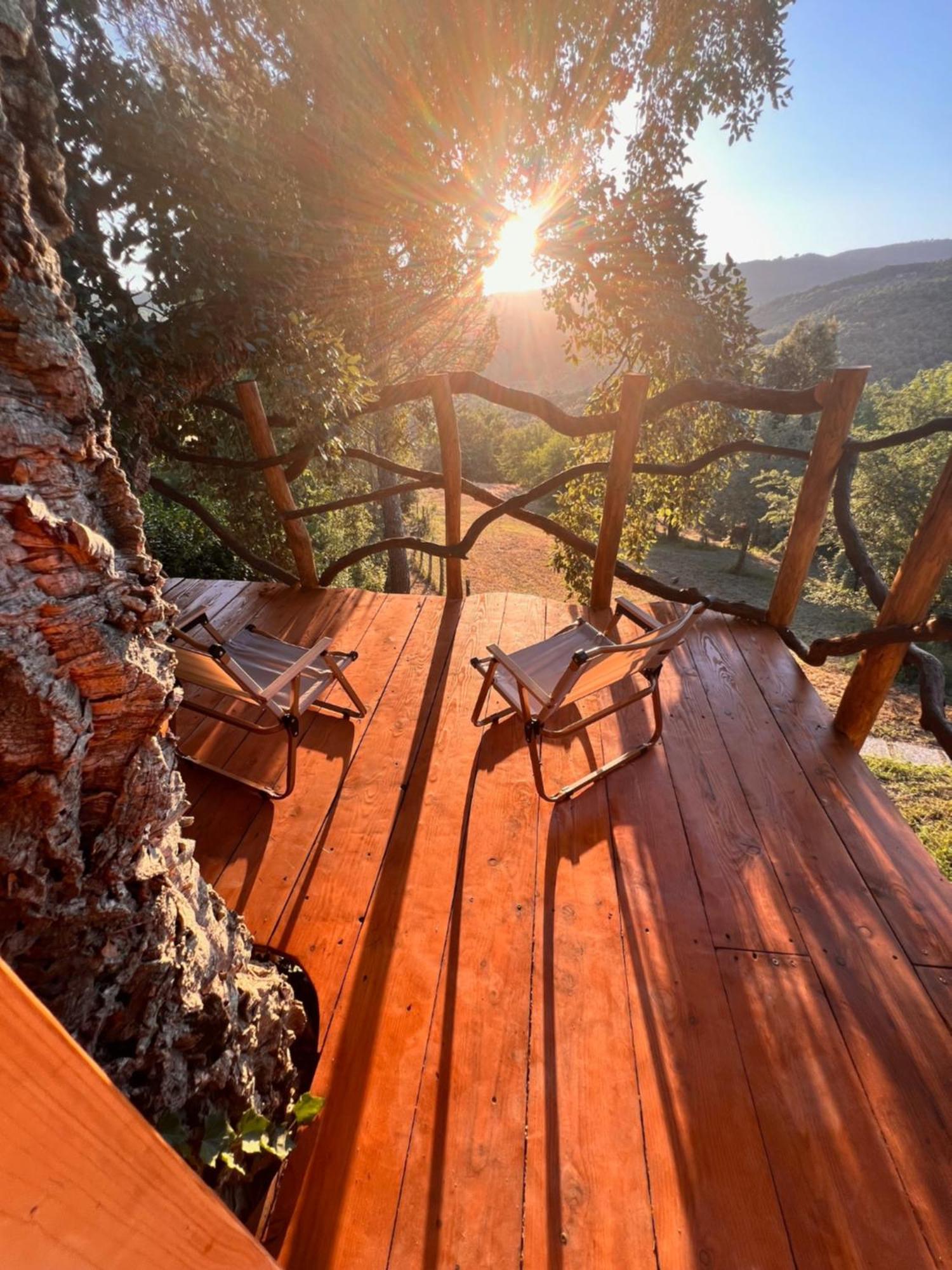 Agriturismo Pereti 罗卡蒂德里 外观 照片