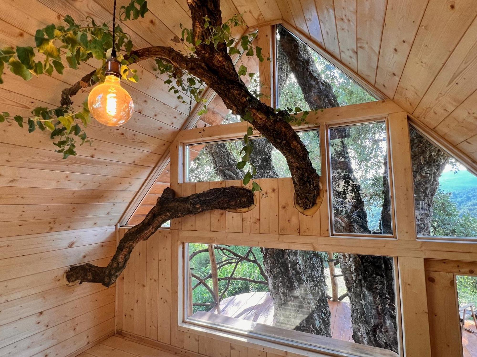 Agriturismo Pereti 罗卡蒂德里 外观 照片