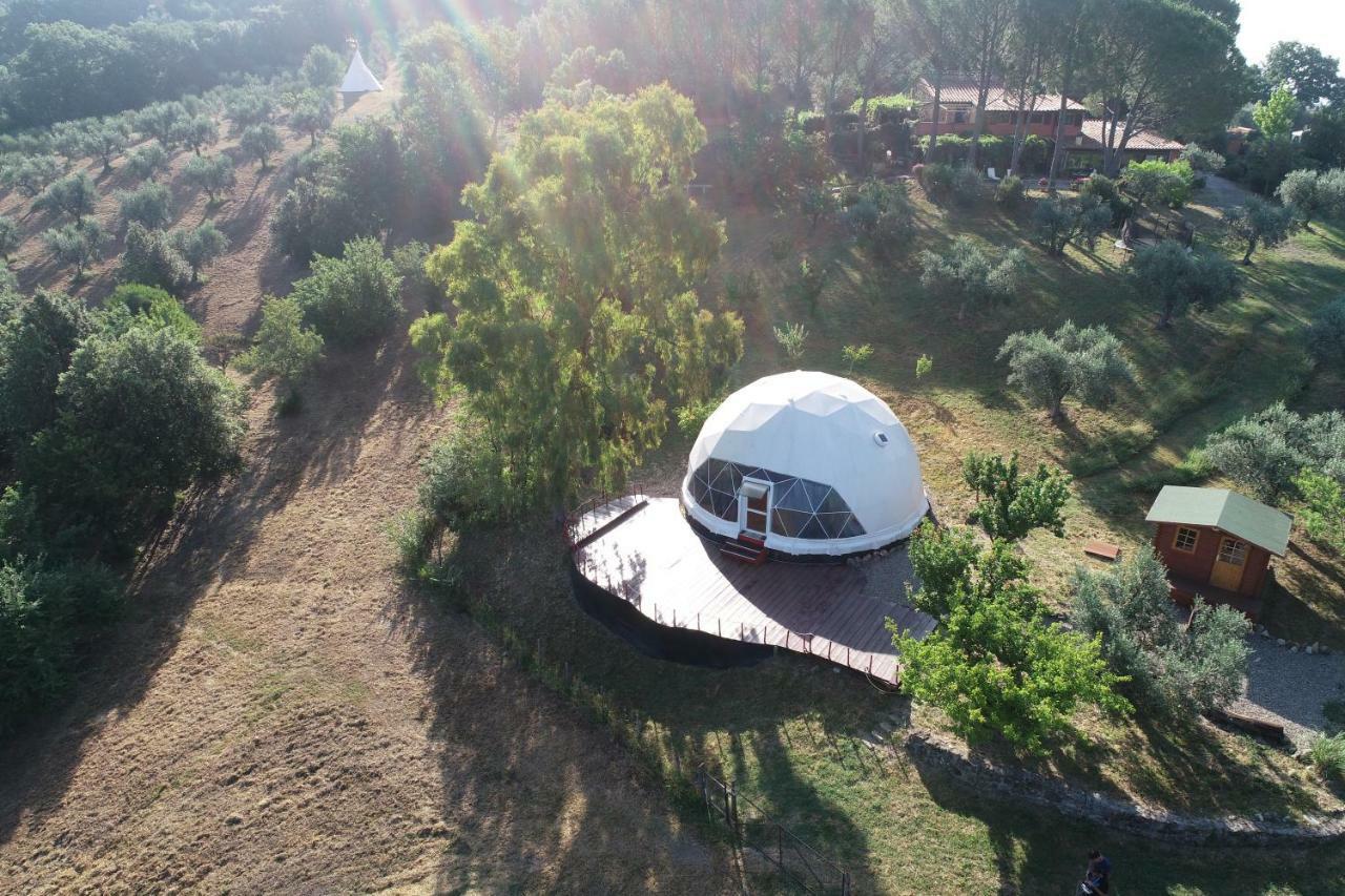 Agriturismo Pereti 罗卡蒂德里 外观 照片