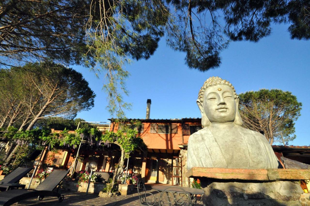 Agriturismo Pereti 罗卡蒂德里 外观 照片